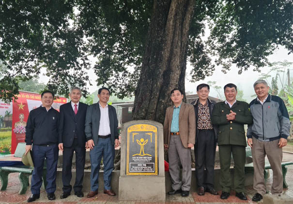 Cây[-]Thị[-]hùng[-]vĩ[-]bậc[-]nhất[-]từ[-]trước[-]tới[-]nay[-]được[-]vinh[-]danh[-]Cây[-]Di[-]sản[-]Việt[-]Nam